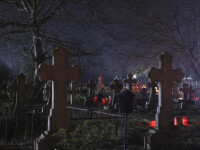 Întâmplare incredibilă în cimitirul Constanța. ”M-au fugărit până m-am urcat pe cruci”