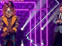 Masked Singer, vineri, 23 octombrie 2020. Patru personaje s-au calificat în Marea Finală. Cine era Vulpoiul