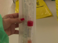 Românii care vin din ţări de pe lista galbenă pot intra în ţară fără test PCR, dar vor sta 14 zile în carantină