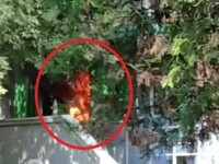 VIDEO șocant. Primele momente după izbucnirea incendiului din Constanța. Flăcările, uriașe