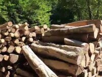 Senatorii vor ca lemnele de foc să fie mai ieftine. Cu cât ar urma să scadă TVA-ul