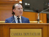 Florin Citu, Parlament