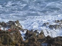 17 migranți morți au fost descoperiți lângă coasta Libiei