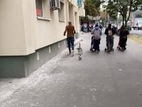 Imagini inedite în București. Un tânăr se plimbă cu o gâscă și o rață, pe trotuar. VIDEO