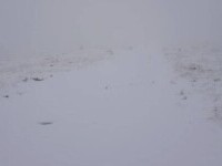 A nins în Masivul Vlădeasa. Stratul de zăpadă a depășit 5 centimetri