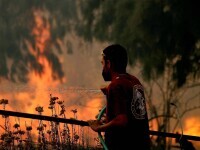 Autoritățile din Siria au executat 24 de persoane, acuzate de provocarea incendiilor devastatoare din 2020