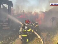 Sute de prepelițe au murit arse într-un incendiu din Suceava