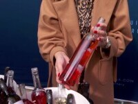 Producătorii de vin din județul Iași s-au adunat la „MoldoVia”. Trâgul de vinuri, la a treia ediție