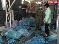 Zeci de milioane de mănuși medicale folosite, puse în vânzare în SUA. Cum a fost posibil