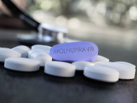 Molnupiravir, evaluat în procedură accelerată pentru Europa. Ar reduce la jumătate spitalizarea și decesele cauzate de Covid