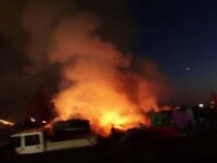 Incendiu puternic în Cimitirul Municipal din Oradea. Pompierii au intervenit de urgență