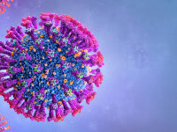 Coronavirus România 5 aprilie 2022. 3.047 cazuri noi de cazuri noi de Covid-19