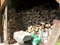 Ordonanța lemnelor de foc se dovedește un eșec. Nu se mai găsesc nici lemne, nici peleți. Ce urmează