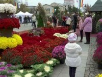 Festivalul florilor la Iași. Se găsesc de la bulbi până la plante criogenate