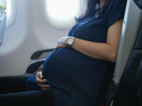 gravida avion