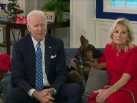 câine Biden