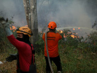 incendii Manaus