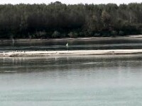 Dunărea aproape a secat, iar bacul nu mai poate trece pe la Bechet. Bărcile eșuează pe dunele de nisip, în mijlocul fluviului