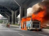 autobuz thailanda