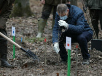 Klaus Iohannis, padure, copac