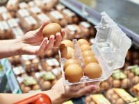 Criză cu pretenții. Cum cer americanii să fie ouăle din România ca să le cumpere. Condițiile sunt incredibile