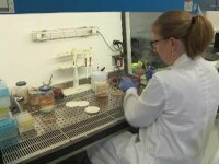 „Antibioticul atomic”, medicamentul minune inventat de profesorii cehi care ucide cea mai rezistentă bacterie. Are și grafen