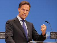 mark rutte