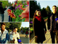 Expoziție de flori de sezon la Gradina Botanică din Iași, Vizitatorii pot admira peste 200 de tipuri de crizanteme