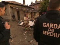 garda de mediu