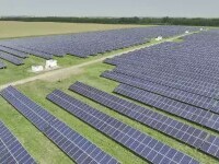 Ecologiștii au blocat construcția celui mai mare parc fotovoltaic din Europa, la Arad. Lucrările ar afecta specii protejate