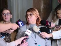 Ce a făcut fiica lui Ioan Crișan la o lună după asasinat. Avocatul unui suspect spune că acuzațiile sunt povești necredibile