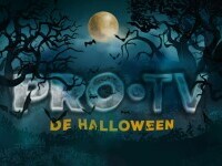 protv