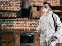 (P) Servicii-contracte DDD București - Soluții profesionale de dezinsecție, dezinfectie și deratizare pentru locuința ta