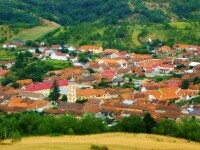 Tranziția verde nu a ajuns încă și la românii din mediul rural. „S-au dat bani doar pentru panouri fotovoltaice”