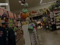 Un urs a dat buzna într-un supermarket din Arizona și a stârnit panică printre cumpărători