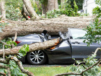 Despăgubiri pentru mașinile avariate de copaci şi blocuri de gheaţă în Sectorul 2. Ce documente sunt necesare