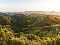 Cifrele dezastrului. România a împădurit în 30 de ani de două ori mai puține hectare decât în tot anul 1953 Cifrele dezastrului. România a împădurit în 30 de ani de două ori mai puține hectare decât în tot anul 1953