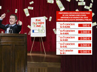 LicitatieNumereDeInmatriculare