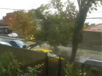 Furtună și ploi abundente în toată țara. Momentul în care un copac strivește o mașină aflată în mișcare | Video