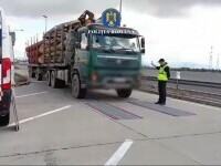 Lemn ilegal în valoare de 140.000 lei, confiscat la Brașov. Poliția a deschis patru dosare penale