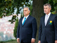 Alegeri parlamentare în Cehia. Babis, aliat al lui Orban, ar putea câștiga fără o majoritate clară