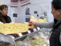 Foștii studenți USV Iași au combinat gusturi inedite. Ciocolată cu rozmarin și cimbrișor, vedeta Târgului Recoltei