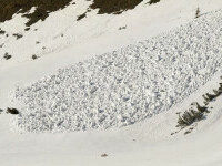 avalansa