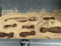 FOTO. Mai multe bombe din Al Doilea Război Mondial au fost descoperite pe un teren din apropierea unei staţii de autobuz