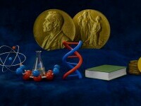 Premiul Nobel 2025 pentru Medicină acordat pentru o descoperire care schimbă tratamentele pentru cancer și boli autoimune