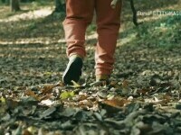 Oamenii din Mărășești dau vina pe primărie pentru copilul omorât de câinii maidanezi. Municipalitatea îi acuză pe localnici