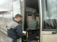 Descoperire de peste 1,5 milioane lei în Giurgiu. Ce au găsit polițiștii după ce au controlat trei autocare venite din Turcia