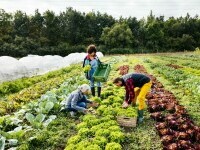 Cum devine sustenabilitatea cheia rezistenței în business. “Nu mai e un avantaj, ci o condiție de supraviețuire în afaceri”