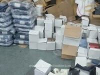 Captură de aproape 873.000 de lei în Giurgiu. Ce ascundeau mai mulți pasageri în patru autocare venite din Turcia. FOTO