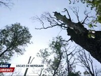 România, te iubesc! Emisiunea integrală din 12 octombrie 2025